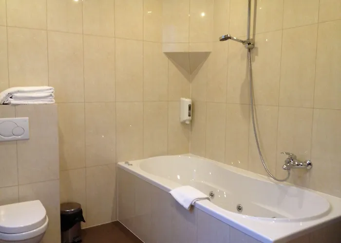 阿尔伯特ii奥斯坦德酒店 2*