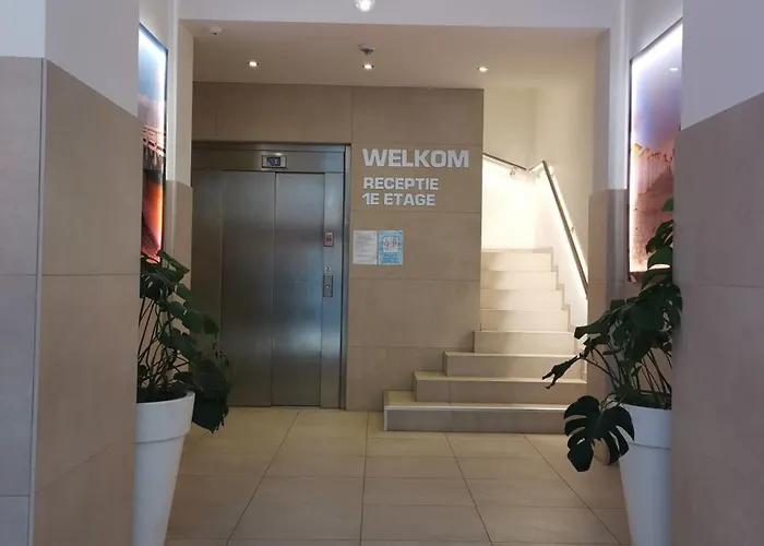 酒店 阿尔伯特ii奥斯坦德酒店 奥斯滕德